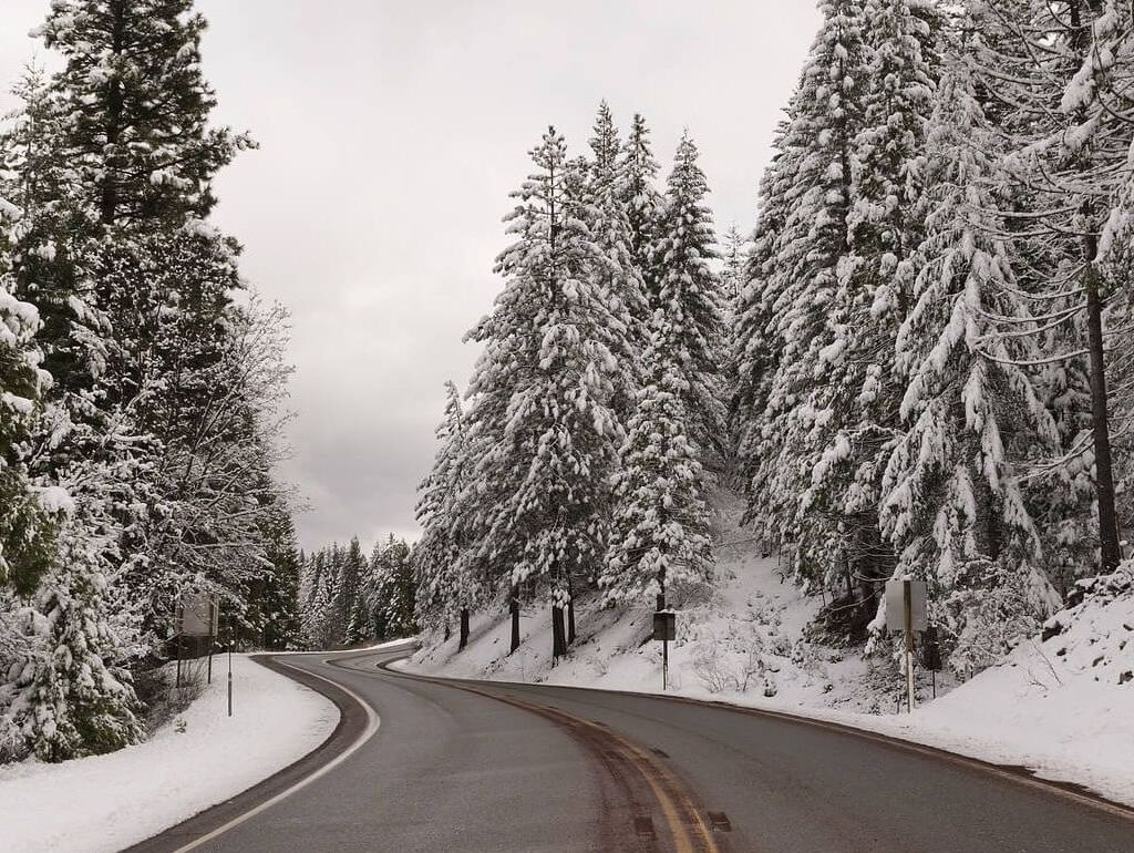 Development of own idea